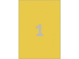 Afbeelding - 8811046-png